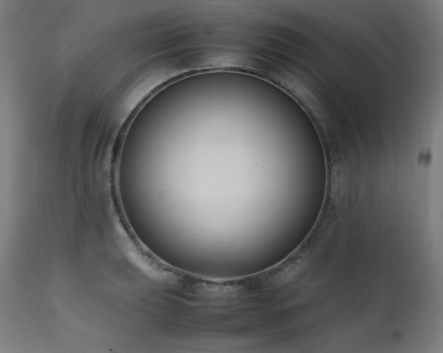 X0000112051039200908041145