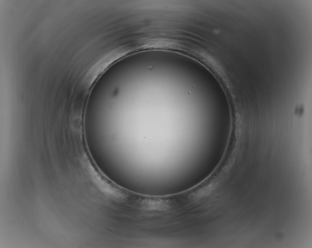 X0000112051041200908041145