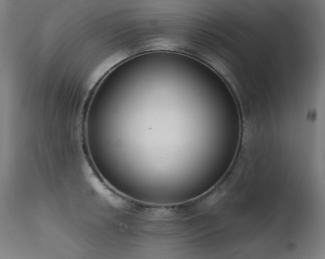X0000112051042200908041145