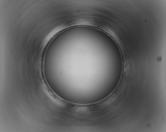 X0000112051043200908041145