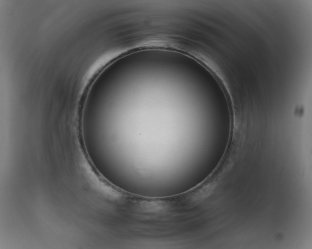 X0000112051045200908041145