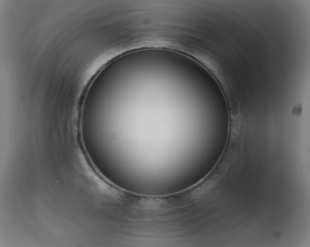 X0000112051046200908041145