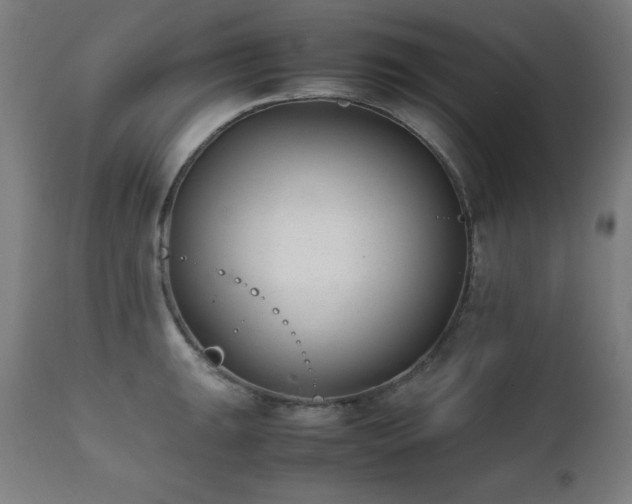 X0000112051047200908041145