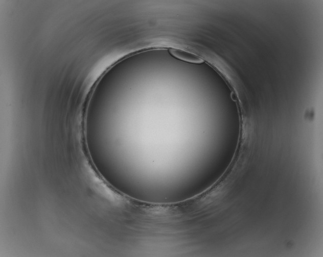 X0000112051048200908041145