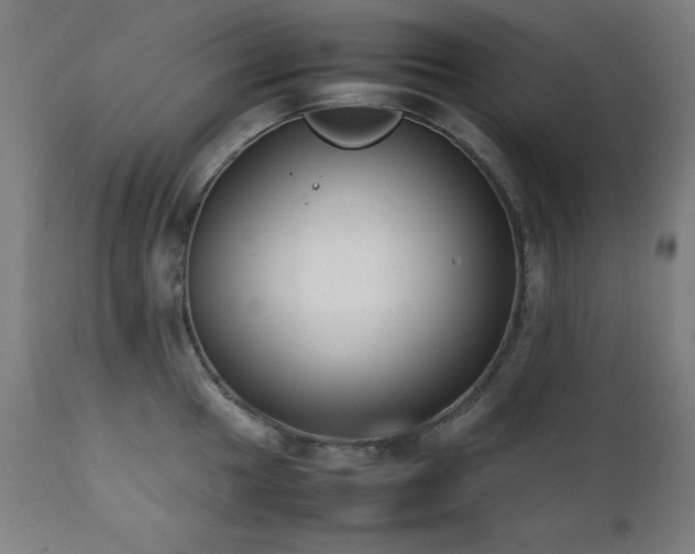 X0000112051049200908041145