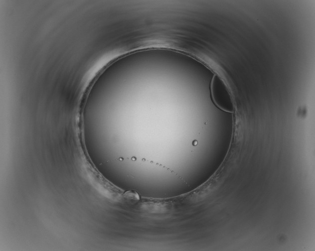 X0000112051051200908041146