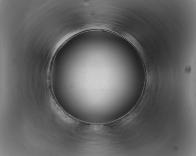 X0000112051052200908041146