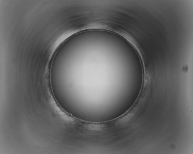 X0000112051053200908041146