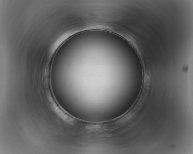 X0000112051054200908041146