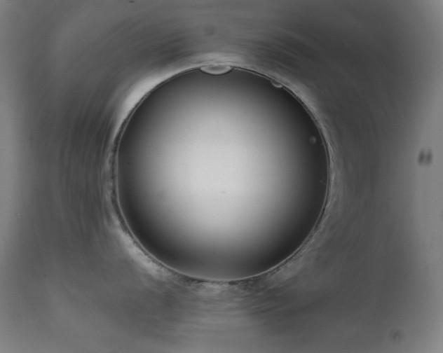 X0000112051056200908041146