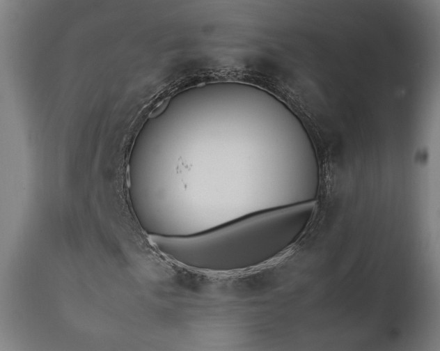 X0000112051057200908041145