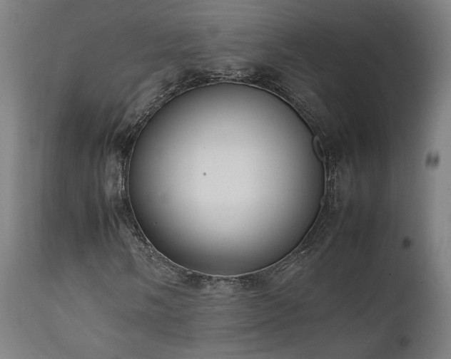 X0000112051058200908041145
