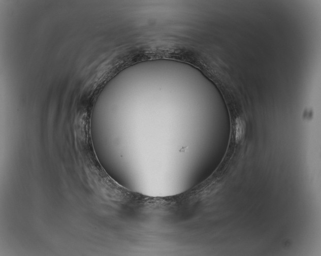 X0000112051059200908041145