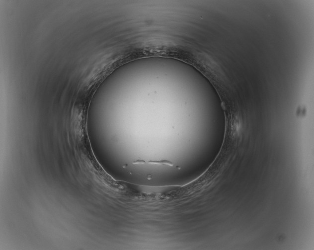 X0000112051060200908041145