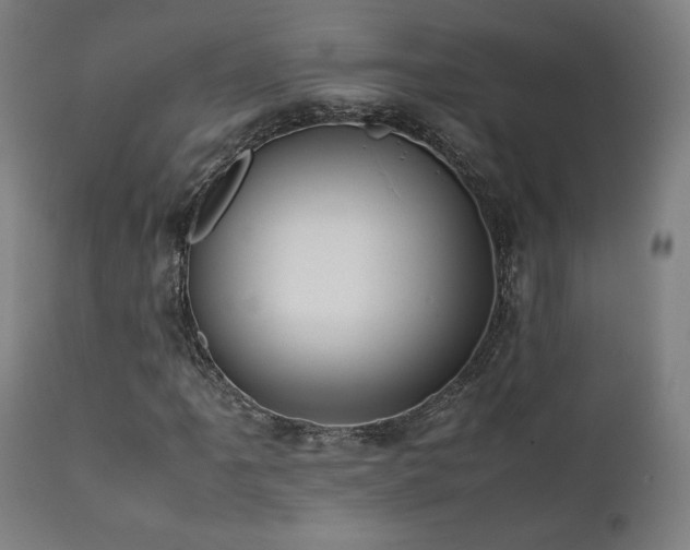 X0000112051061200908041145