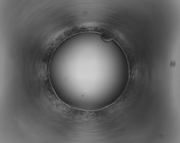 X0000112051062200908041145