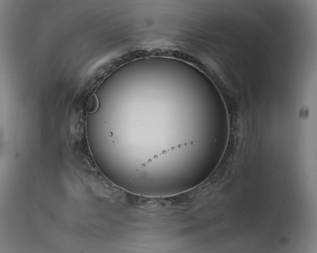 X0000112051063200908041145