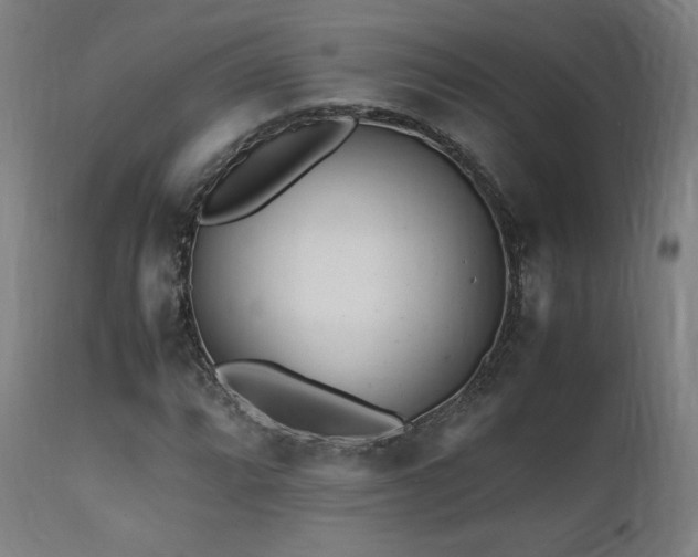 X0000112051064200908041145