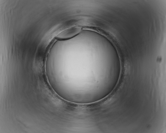 X0000112051065200908041145