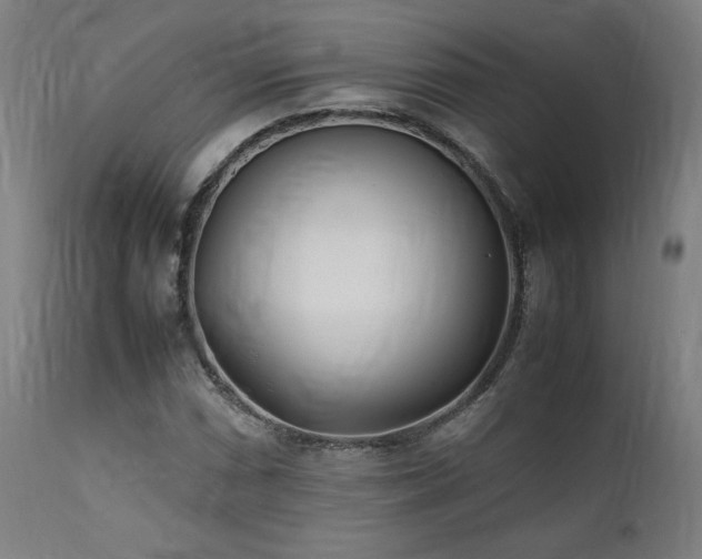 X0000112051066200908041145