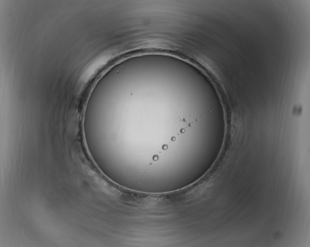X0000112051067200908041145