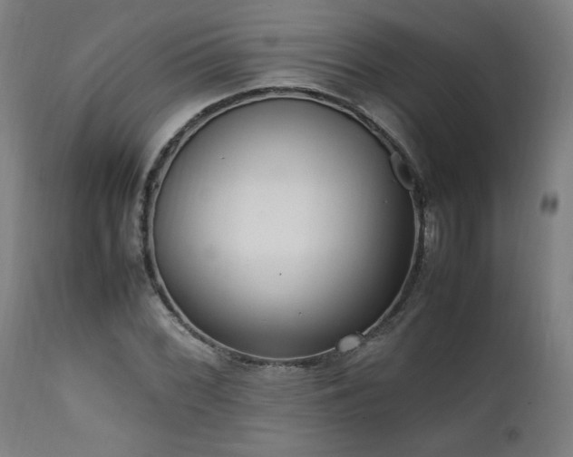 X0000112051068200908041145