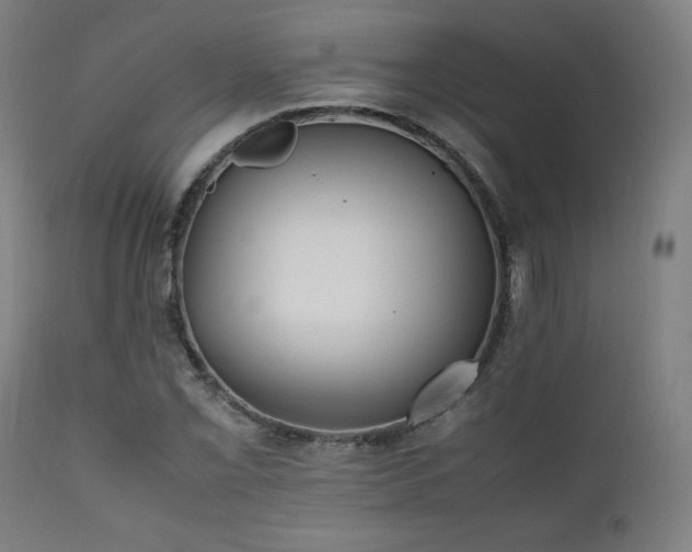 X0000112051069200908041145