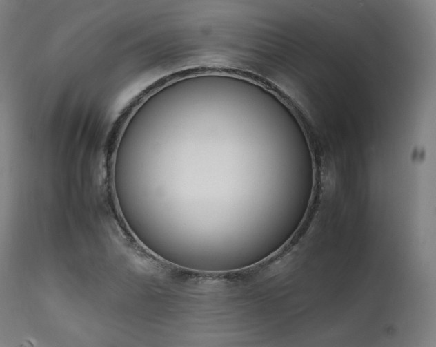 X0000112051070200908041145