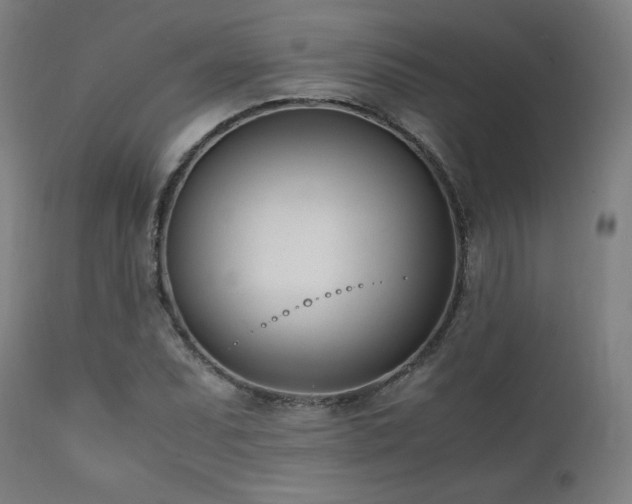 X0000112051071200908041145