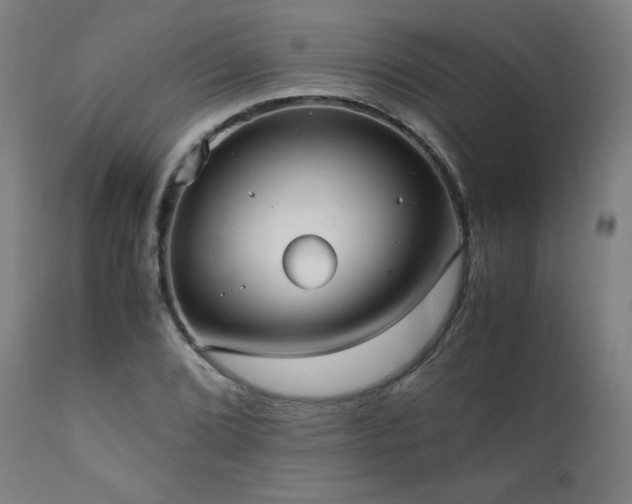 X0000112051072200908041145