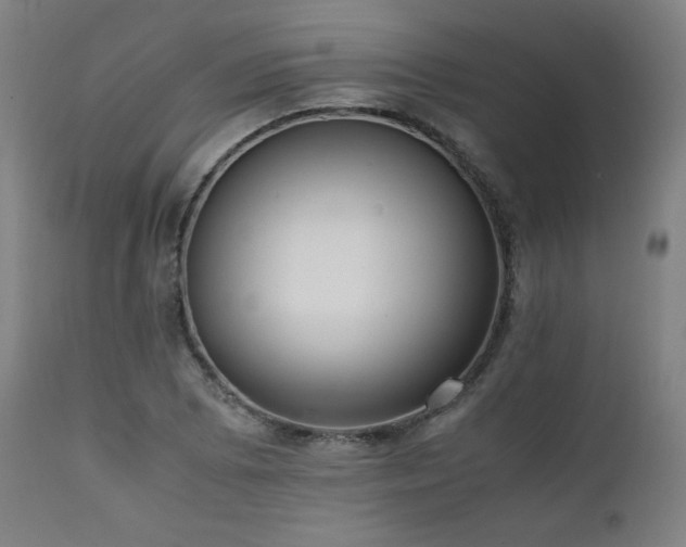 X0000112051073200908041145