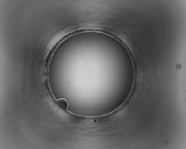 X0000112051075200908041145