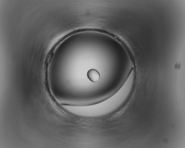 X0000112051077200908041145
