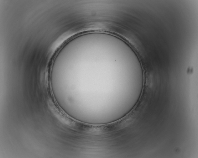 X0000112051078200908041145