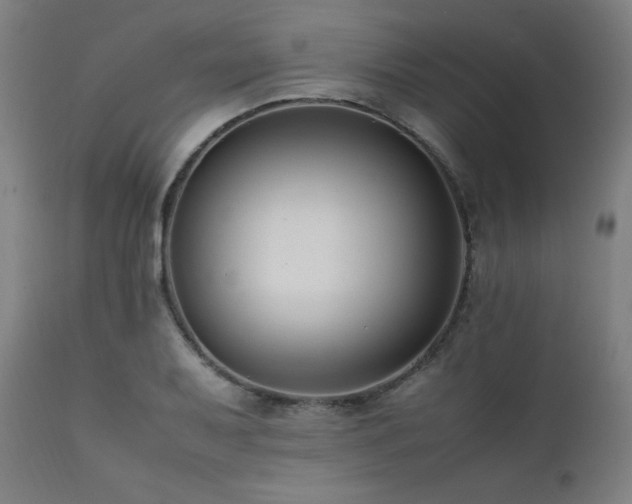 X0000112051079200908041145