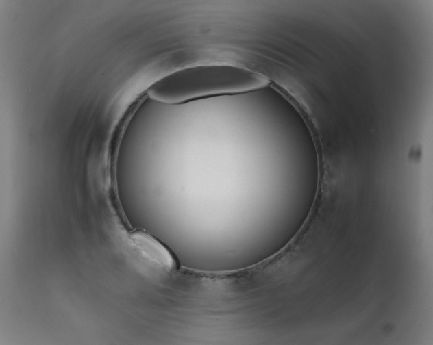 X0000112051080200908041145