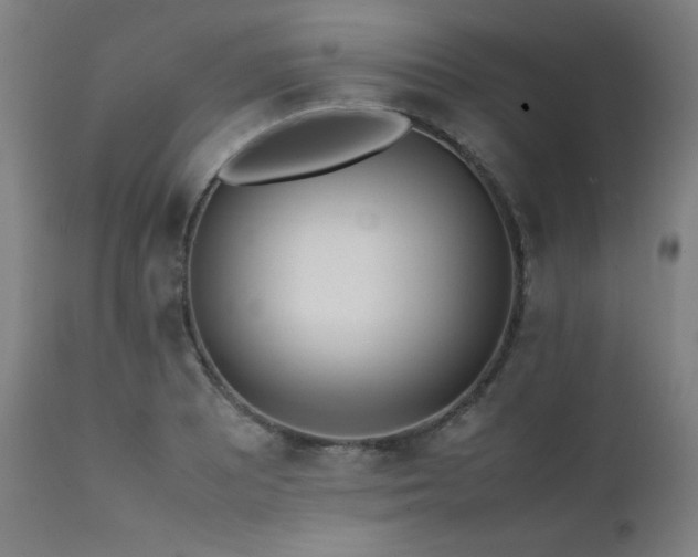 X0000112051081200908041145