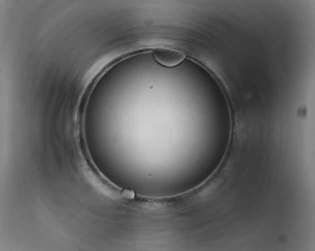 X0000112051082200908041145