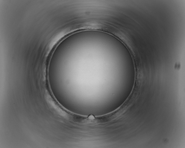 X0000112051083200908041145