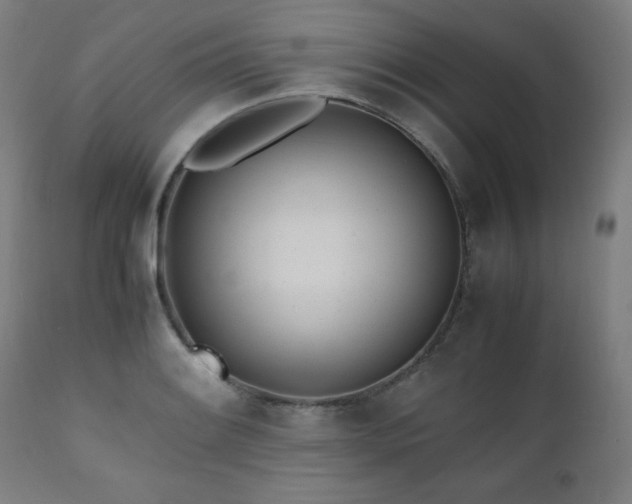 X0000112051084200908041145