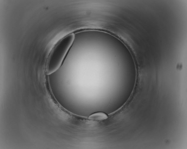 X0000112051085200908041145