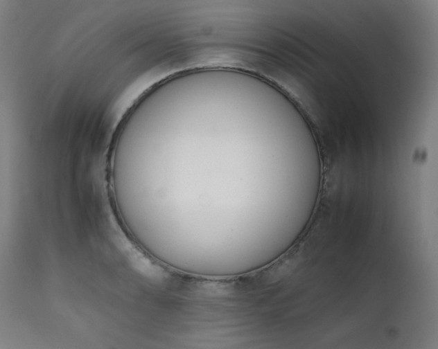 X0000112051086200908041145