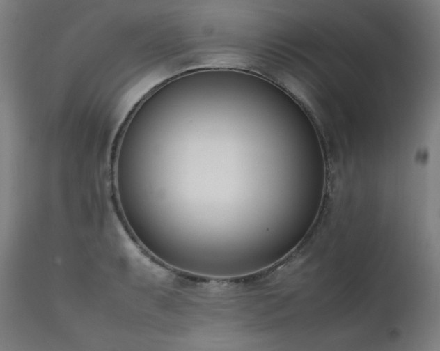 X0000112051087200908041145