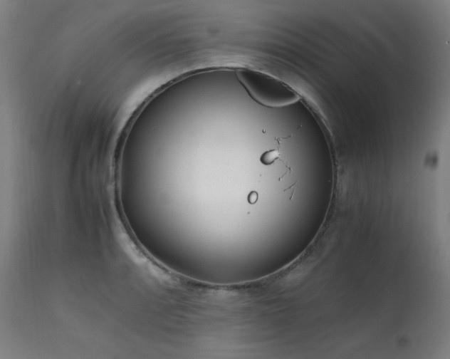 X0000112051088200908041145
