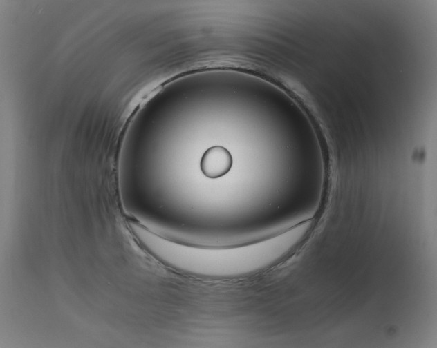X0000112051089200908041144