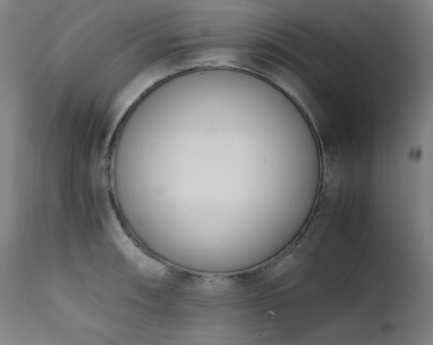 X0000112051090200908041144