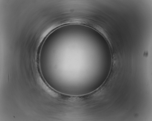 X0000112051091200908041144