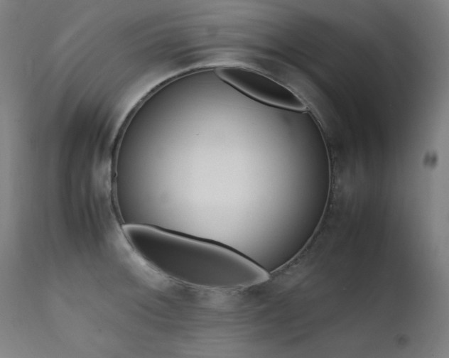 X0000112051092200908041144