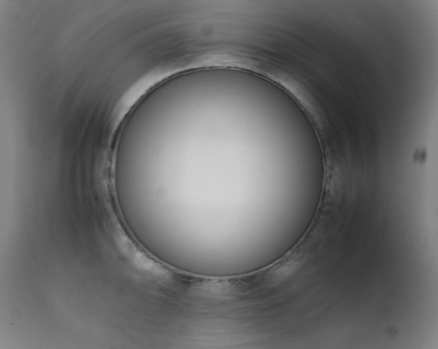 X0000112051094200908041144