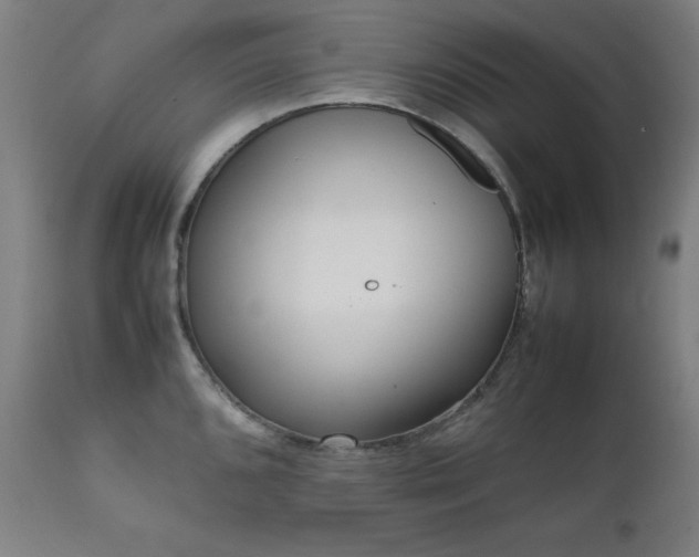 X0000112051096200908041144